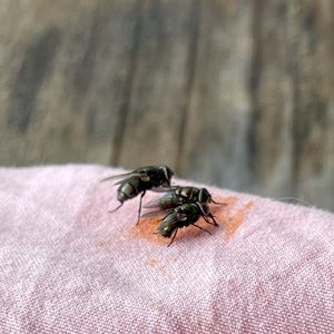 Meet your Posher, Jennina